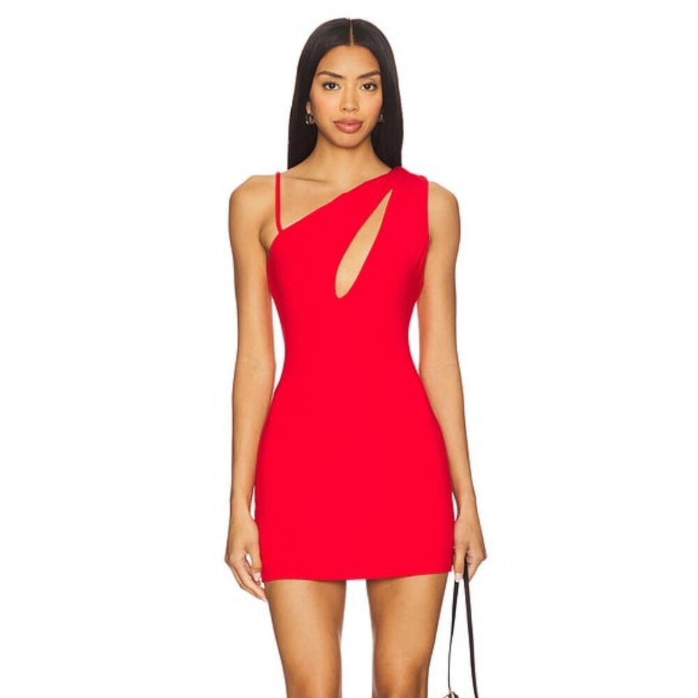 h:ours Safia Mini Dress from Revolve, NWT